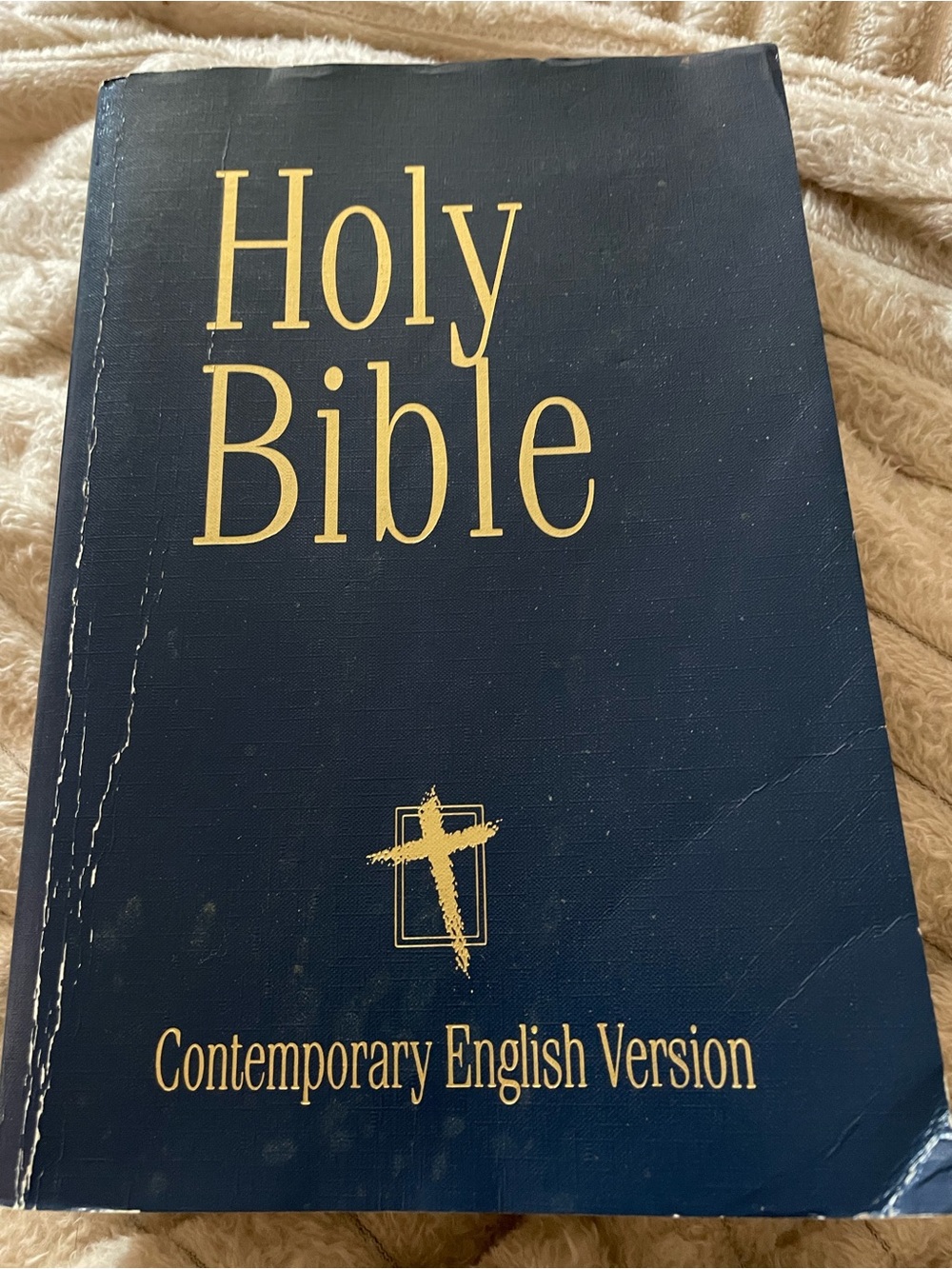 Holy Bible - Contemporary English Version - Navy & Gold